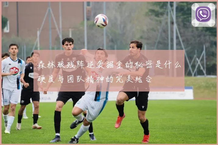 森林狼残阵逆袭掘金的秘密是什么硬度与团队精神的完美结合